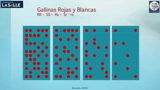 (Benavides, 2015©)
Gallinas Rojas y Blancas
RR – SS – Rs – Sr - rs
 