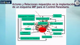 (Benavides, 2015©)
Actores y Relaciones requeridos en la implantación
de un esquema MIP para el Control Parasitario.
Ganadero
Información Científica Políticos
Sistema Educativo
A.T. Particular Universidad Inst. Tecnológico
Paraveterinario
Industria
Farmacéutica
Asociaciones de Ganaderos
Agroindustria
UMATAS
ICA
Instituciones de investigación:
CORPOICA, Universidades...
Servicios de extensión
 