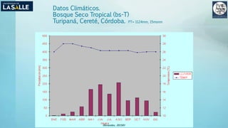 Datos Climáticos.
Bosque Seco Tropical (bs-T)
Turipaná, Cereté, Córdoba. PT= 1124mm, 15msnm
(Benavides, 2015©)
 