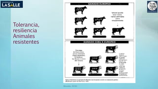 Tolerancia,
resiliencia
Animales
resistentes
(Benavides, 2015©)
 