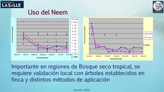 (Benavides, 2015©)
Uso del Neem
0
5
10
15
20
25
30
35
40
45
50
28-jun.-98 19-jul.-98 09-ago.-98 30-ago.-98 20-sep.-98 11-oct.-98 01-nov.-98
PromedioGarrapatas
Fechas de Recuento
F Amitraz
Neem
009
969
025
963
017
984
962
013
965
020
= Baños
0
5
10
15
20
25
30
35
01-oct.-99 16-oct.-99 31-oct.-99 15-nov.-99 30-nov.-99 15-dic.-99 30-dic.-99
PromediodeGarrapatas
Fechas de Recuento
Amitraz
Neem
= Baños
Importante en regiones de Bosque seco tropical, se
requiere validación local con árboles establecidos en
finca y distintos métodos de aplicación
 