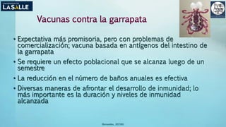 (Benavides, 2015©)
Vacunas contra la garrapata
• Expectativa más promisoria, pero con problemas de
comercialización; vacuna basada en antígenos del intestino de
la garrapata
• Se requiere un efecto poblacional que se alcanza luego de un
semestre
• La reducción en el número de baños anuales es efectiva
• Diversas maneras de afrontar el desarrollo de inmunidad; lo
más importante es la duración y niveles de inmunidad
alcanzada
 