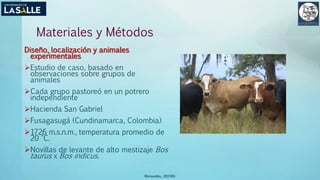 Materiales y Métodos
Diseño, localización y animales
experimentales
Estudio de caso, basado en
observaciones sobre grupos de
animales
Cada grupo pastoreó en un potrero
independiente
Hacienda San Gabriel
Fusagasugá (Cundinamarca, Colombia)
1726 m.s.n.m., temperatura promedio de
20 °C.
Novillas de levante de alto mestizaje Bos
taurus x Bos indicus.
(Benavides, 2015©)
 
