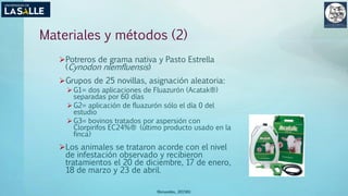 Materiales y métodos (2)
Potreros de grama nativa y Pasto Estrella
(Cynodon nlemfluensis)
Grupos de 25 novillas, asignación aleatoria:
 G1= dos aplicaciones de Fluazurón (Acatak®)
separadas por 60 días
 G2= aplicación de fluazurón sólo el día 0 del
estudio
 G3= bovinos tratados por aspersión con
Clorpirifos EC24%® (último producto usado en la
finca)
Los animales se trataron acorde con el nivel
de infestación observado y recibieron
tratamientos el 20 de diciembre, 17 de enero,
18 de marzo y 23 de abril.
(Benavides, 2015©)
 