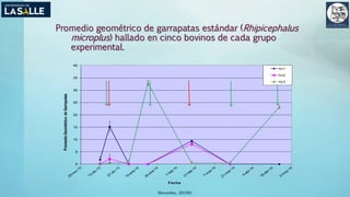 Promedio geométrico de garrapatas estándar (Rhipicephalus
microplus) hallado en cinco bovinos de cada grupo
experimental.
(Benavides, 2015©)
0
5
10
15
20
25
30
35
40PromedioGeométricodeGarrapatas
Fecha
Gr1
Gr2
Gr3
 