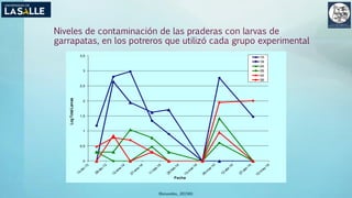 Niveles de contaminación de las praderas con larvas de
garrapatas, en los potreros que utilizó cada grupo experimental
(Benavides, 2015©)
0
0,5
1
1,5
2
2,5
3
3,5
LogTotalLarvas
Fecha
1A
1B
2A
2B
3A
3B
 