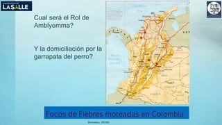 Focos de Fiebres moteadas en Colombia
(Benavides, 2015©)
Cual será el Rol de
Amblyomma?
Y la domiciliación por la
garrapata del perro?
1
2
3
4
 