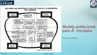 Modelo poblacional
para B. microplus
Factores múltiples
(Benavides, 2015©)
 
