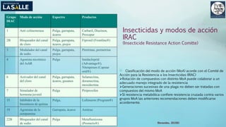 (Benavides, 2015©)
Insecticidas y modos de acción
IRAC
(Insecticide Resistance Action Comitte)
Grupo
IRAC
[1]
Modo de acción Espectro Productos
1 Anti colinesterasa Pulga, garrapata,
ácaros
Carbaril, Diazinon,
Proxopur
2B Bloqueador del canal
de cloro
Pulga, garrapata,
ácaros, piojos
Fipronil (Frontline®)
3 Modulador del canal
de sodio
Pulga, garrapata,
piojos
Piretrinas, permetrina
4 Agonista nicotínico
del AchR
Pulga Imidacloprid
(Advantage®),
Nitenpiram (Capstar
oral®)
6 Activador del canal
del cloro
Pulga, garrapata,
ácaros, gusanos
Selamectina,
doramectina,
moxidectina
7 Simulador de
hormona juvenil
Pulga Piriproxifen
15 Inhibidor de la
biosíntesis de quitina
Pulga, Lufenuron (Program®)
19 Agonistas de la
octopamina
Garrapata, ácaros Amitraz
22B Bloqueador del canal
de sodio
Pulga Metaflumizona
(Promeris®)
[1] Clasificación del modo de acción (MoA) acorde con el Comité de
Acción para la Resistencia a los Insecticidas (IRAC)
Rotación de compuestos con distinto MoA puede colaborar a un
adecuado manejo integrado de la resistencia
Generaciones sucesivas de una plaga no deben ser tratadas con
compuestos del mismo MoA
Sí resistencia metabólica confiere resistencia cruzada contra varios
grupos MoA las anteriores recomendaciones deben modificarse
acordemente.
 
