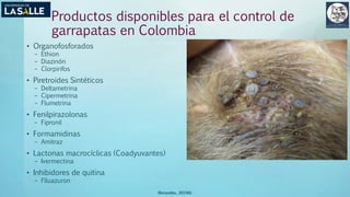 Productos disponibles para el control de
garrapatas en Colombia
• Organofosforados
– Ethion
– Diazinón
– Clorpirifos
• Piretroides Sintéticos
– Deltametrina
– Cipermetrina
– Flumetrina
• Fenilpirazolonas
– Fipronil
• Formamidinas
– Amitraz
• Lactonas macrocíclicas (Coadyuvantes)
– Ivermectina
• Inhibidores de quitina
– Flluazuron
(Benavides, 2015©)
 