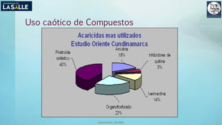 (Benavides, 2015©)
Uso caótico de Compuestos
 