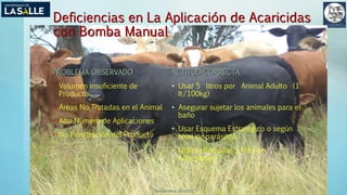 (Benavides, 2015©)
Deficiencias en La Aplicación de Acaricidas
con Bomba Manual
PROBLEMA OBSERVADO
• Volumen insuficiente de
Producto
• Areas No Tratadas en el Animal
• Alto Número de Aplicaciones
• No Penetración del Producto
ACTITUD CORRECTA
• Usar 5 litros por Animal Adulto (1
lt/100kg)
• Asegurar sujetar los animales para el
baño
• Usar Esquema Estratégico o según
nivel de parásitos
• Utilizar Boquillas y Presión
Adecuadas
 