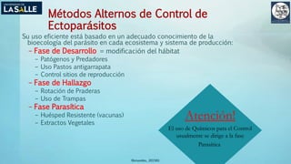 (Benavides, 2015©)
Métodos Alternos de Control de
Ectoparásitos
Su uso eficiente está basado en un adecuado conocimiento de la
bioecología del parásito en cada ecosistema y sistema de producción:
– Fase de Desarrollo = modificación del hábitat
– Patógenos y Predadores
– Uso Pastos antigarrapata
– Control sitios de reproducción
– Fase de Hallazgo
– Rotación de Praderas
– Uso de Trampas
– Fase Parasítica
– Huésped Resistente (vacunas)
– Extractos Vegetales
Atención!
El uso de Químicos para el Control
usualmente se dirige a la fase
Parasítica
 