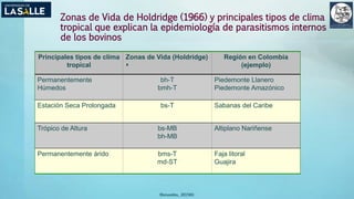 Zonas de Vida de Holdridge (1966) y principales tipos de clima
tropical que explican la epidemiología de parasitismos internos
de los bovinos
Principales tipos de clima
tropical
Zonas de Vida (Holdridge)

Región en Colombia
(ejemplo)
Permanentemente
Húmedos
bh-T
bmh-T
Piedemonte Llanero
Piedemonte Amazónico
Estación Seca Prolongada bs-T Sabanas del Caribe
Trópico de Altura bs-MB
bh-MB
Altiplano Nariñense
Permanentemente árido bms-T
md-ST
Faja litoral
Guajira
(Benavides, 2015©)
 