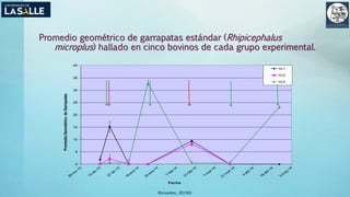 Promedio geométrico de garrapatas estándar (Rhipicephalus
microplus) hallado en cinco bovinos de cada grupo experimental.
(Benavides, 2015©)
0
5
10
15
20
25
30
35
40PromedioGeométricodeGarrapatas
Fecha
Gr1
Gr2
Gr3
 