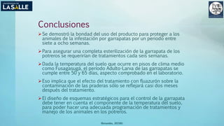 Conclusiones
Se demostró la bondad del uso del producto para proteger a los
animales de la infestación por garrapatas por un periodo entre
siete a ocho semanas.
Para asegurar una completa esterilización de la garrapata de los
potreros se requerirían de tratamientos cada seis semanas.
Dada la temperatura del suelo que ocurre en pisos de clima medio
como Fusagasugá, el período Adulto-Larva de las garrapatas se
cumple entre 50 y 65 días, aspecto comprobado en el laboratorio.
Eso implica que el efecto del tratamiento con fluazurón sobre la
contaminación de las praderas sólo se reflejará casi dos meses
después del tratamiento.
El diseño de esquemas estratégicos para el control de la garrapata
debe tener en cuenta el componente de la temperatura del suelo,
para poder hacer una adecuada programación de tratamientos y
manejo de los animales en los potreros.
(Benavides, 2015©)
 