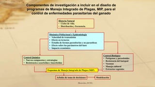 (Benavides, 2015©)
Componentes de investigación a incluir en el diseño de
programas de Manejo Integrado de Plagas, MIP, para el
control de enfermedades parasitarias del ganado
Historia Natural
• Ciclos de vida.
• Distribución y frecuencia.
Dinámica Poblacional y Epidemiología
• Velocidad de transmisión
• Efecto en terneros
• Estudio de formas parasitarias y no parasíticas
• Efecto sobre los parámetros del hato
• Impacto económico
Esquemas de Manejo Integrado de Plagas (MIP)
Control Químico
• Nuevos compuestos y estrategias
• Resistencia a acaricidas e insecticidas
Control Biológico
• Patógenos y parasitoides
• Resistencia del huésped
• Vacunas
• Manejo cultural
• Extractos vegetales
Arboles de toma de decisiones Modelización
 