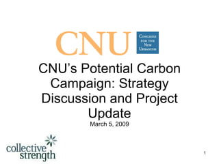 CNU’s Potential Carbon Campaign: Strategy Discussion and Project Update March 5, 2009 