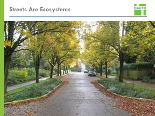 Streets Are Ecosystems
 