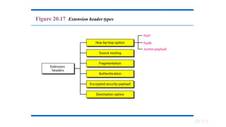 20.112
Figure 20.17 Extension header types
 
