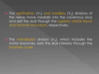 The ophthalmic (V1) and maxillary (V2) divisions of 
the nerve move medially into the cavernous sinus 
and exit the skull through the superior orbital fissure 
and foramen rotundum, respectively. 
 The mandibular division (V3), which includes the 
motor branches, exits the skull inferiorly through the 
foramen ovale. 
 
