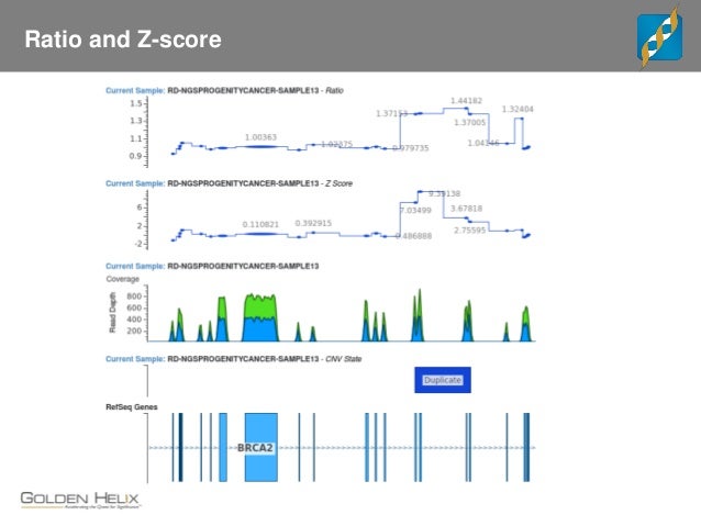 Cnv Analysis In Varseq