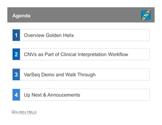Comprehensive Clinical Workflows for Copy Number Variants in VarSeq | PDF