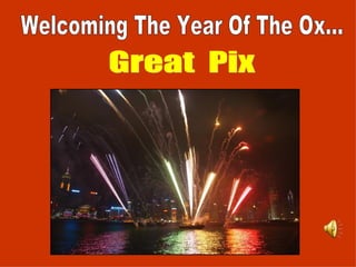 Welcoming The Year Of The Ox... Great  Pix 