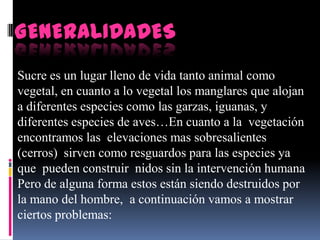 GENERALIDADES
Sucre es un lugar lleno de vida tanto animal como
vegetal, en cuanto a lo vegetal los manglares que alojan
a diferentes especies como las garzas, iguanas, y
diferentes especies de aves…En cuanto a la vegetación
encontramos las elevaciones mas sobresalientes
(cerros) sirven como resguardos para las especies ya
que pueden construir nidos sin la intervención humana
Pero de alguna forma estos están siendo destruidos por
la mano del hombre, a continuación vamos a mostrar
ciertos problemas:
 