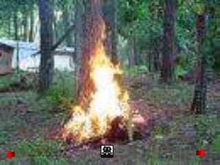 Esta es comun entre la comunidad
coveñera pese al imcumplimiento de
las personas encargadas del aseo
municipal
 