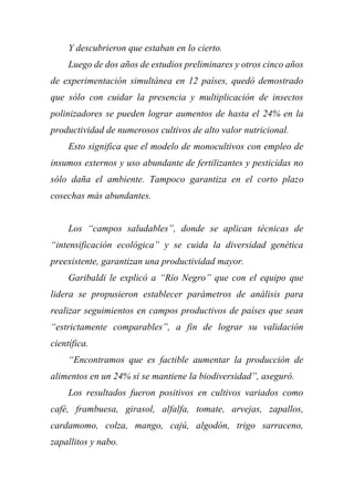 Y descubrieron que estaban en lo cierto.
Luego de dos años de estudios preliminares y otros cinco años
de experimentación simultánea en 12 países, quedó demostrado
que sólo con cuidar la presencia y multiplicación de insectos
polinizadores se pueden lograr aumentos de hasta el 24% en la
productividad de numerosos cultivos de alto valor nutricional.
Esto significa que el modelo de monocultivos con empleo de
insumos externos y uso abundante de fertilizantes y pesticidas no
sólo daña el ambiente. Tampoco garantiza en el corto plazo
cosechas más abundantes.
Los “campos saludables”, donde se aplican técnicas de
“intensificación ecológica” y se cuida la diversidad genética
preexistente, garantizan una productividad mayor.
Garibaldi le explicó a “Río Negro” que con el equipo que
lidera se propusieron establecer parámetros de análisis para
realizar seguimientos en campos productivos de países que sean
“estrictamente comparables”, a fin de lograr su validación
científica.
“Encontramos que es factible aumentar la producción de
alimentos en un 24% si se mantiene la biodiversidad”, aseguró.
Los resultados fueron positivos en cultivos variados como
café, frambuesa, girasol, alfalfa, tomate, arvejas, zapallos,
cardamomo, colza, mango, cajú, algodón, trigo sarraceno,
zapallitos y nabo.
 