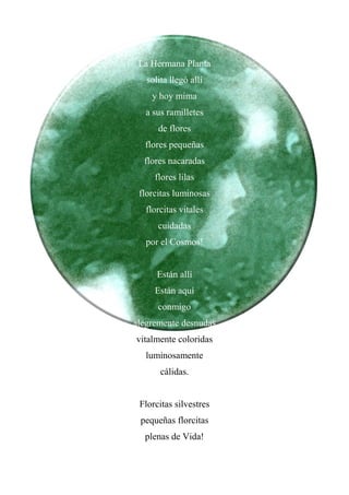 La Hermana Planta
solita llegó allí
y hoy mima
a sus ramilletes
de flores
flores pequeñas
flores nacaradas
flores lilas
florcitas luminosas
florcitas vitales
cuidadas
por el Cosmos!
Están allí
Están aquí
conmigo
alegremente desnudas
vitalmente coloridas
luminosamente
cálidas.
Florcitas silvestres
pequeñas florcitas
plenas de Vida!
 