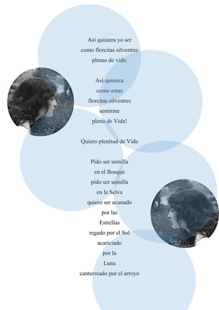 Así quisiera yo ser
como florcitas silvestres
plenas de vida.
Así quisiera
como estas
florcitas silvestres
sentirme
pleno de Vida!
Quiero plenitud de Vida
Pido ser semilla
en el Bosque
pido ser semilla
en la Selva
quiero ser acunado
por las
Estrellas
regado por el Sol
acariciado
por la
Luna
canturreado por el arroyo
 