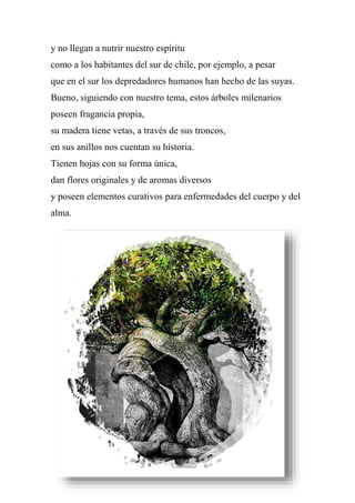 y no llegan a nutrir nuestro espíritu
como a los habitantes del sur de chile, por ejemplo, a pesar
que en el sur los depredadores humanos han hecho de las suyas.
Bueno, siguiendo con nuestro tema, estos árboles milenarios
poseen fragancia propia,
su madera tiene vetas, a través de sus troncos,
en sus anillos nos cuentan su historia.
Tienen hojas con su forma única,
dan flores originales y de aromas diversos
y poseen elementos curativos para enfermedades del cuerpo y del
alma.
 