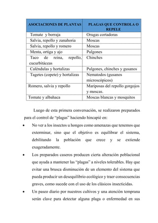 ASOCIACIONES DE PLANTAS PLAGAS QUE CONTROLA O
REPELE
Tomate y borraja Orugas cortadoras
Salvia, repollo y zanahoria Moscas
Salvia, repollo y romero Moscas
Menta, ortiga y ajo Pulgones
Taco de reina, repollo,
cucurbitáceas
Chinches
Caléndulas y hortalizas Pulgones, chinches y gusanos
Tagetes (copete) y hortalizas Nematodos (gusanos
microscópicos)
Romero, salvia y repollo Mariposas del repollo gorgojos
y moscas.
Tomate y albahaca Moscas blancas y mosquitos
Luego de esta primera conversación, se realizaron preparados
para el control de “plagas” haciendo hincapié en:
 No ver a los insectos u hongos como amenazas que tenemos que
exterminar, sino que el objetivo es equilibrar el sistema,
debilitando la población que crece y se extiende
exageradamente.
 Los preparados caseros producen cierta alteración poblacional
que ayuda a mantener las “plagas” a niveles tolerables. Hay que
evitar una brusca disminución de un elemento del sistema que
pueda producir un desequilibrio ecológico y traer consecuencias
graves, como sucede con el uso de los clásicos insecticidas.
 Un paseo diario por nuestros cultivos y una atención temprana
serán clave para detectar alguna plaga o enfermedad en sus
 