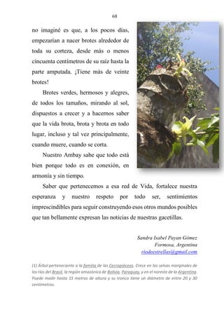 68
no imaginé es que, a los pocos días,
empezarían a nacer brotes alrededor de
toda su corteza, desde más o menos
cincuenta centímetros de su raíz hasta la
parte amputada. ¡Tiene más de veinte
brotes!
Brotes verdes, hermosos y alegres,
de todos los tamaños, mirando al sol,
dispuestos a crecer y a hacernos saber
que la vida brota, brota y brota en todo
lugar, incluso y tal vez principalmente,
cuando muere, cuando se corta.
Nuestro Ambay sabe que todo está
bien porque todo es en conexión, en
armonía y sin tiempo.
Saber que pertenecemos a esa red de Vida, fortalece nuestra
esperanza y nuestro respeto por todo ser, sentimientos
imprescindibles para seguir construyendo esos otros mundos posibles
que tan bellamente expresan las noticias de nuestras gacetillas.
Sandra Isabel Payan Gómez
Formosa, Argentina
riodeestrellas@gmail.com
(1) Árbol perteneciente a la familia de las Cecropiáceas. Crece en las selvas marginales de
los ríos del Brasil, la región amazónica de Bolivia, Paraguay, y en el noreste de la Argentina.
Puede medir hasta 15 metros de altura y su tronco tiene un diámetro de entre 20 y 30
centímetros.
 