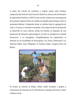 89
A partir del vínculo de confianza y respeto mutuo entre familias
campesinas del norte de la provincia de Santa Fe y técnicos de la Secretaría
de Agricultura Familiar y el INTA, hace un año y medio nace una propuesta
de incorporar algunos líneos de semillas de algodón agroecológico entre su
sementera habitual. Comprende desde su siembra hasta la agregación de
valor y el acceso a mercados artesanales. Esta etapa inicial de producción
se desarrolla en cinco chacras, donde las familias ya disponen de una
producción de alimentos agroecológicos. En ellos se incorporó la variedad
Guasuncho 3, no transgénica. Geográficamente las experiencias se
ubicaron en las localidades de Reconquista, Las Tunas, Montecarlo, Las
Taperitas (Dpto. Gral. Obligado), El Nochero (Dpto. Gregoria Pérez de
Denis).
El avance en relación al hilado, teñido, tejido incorpora a grupos y
asociaciones de artesanas de la Cuña Boscosa, Santiago del Estero, Chaco
y Buenos Aires.
 