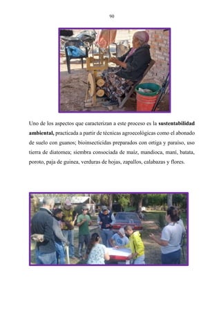 90
Uno de los aspectos que caracterizan a este proceso es la sustentabilidad
ambiental, practicada a partir de técnicas agroecológicas como el abonado
de suelo con guanos; bioinsecticidas preparados con ortiga y paraíso, uso
tierra de diatomea; siembra consociada de maíz, mandioca, maní, batata,
poroto, paja de guinea, verduras de hojas, zapallos, calabazas y flores.
 