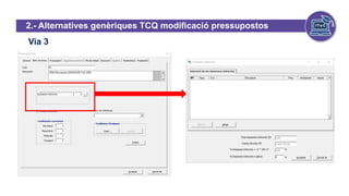 Via 3
2.- Alternatives genèriques TCQ modificació pressupostos
 