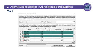 Vía 4
2.- Alternatives genèriques TCQ modificació pressupostos
 