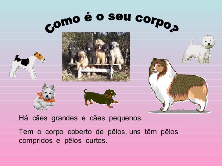 CÃO