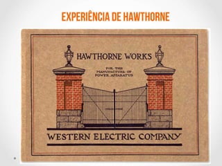 Comportamento Organizacional