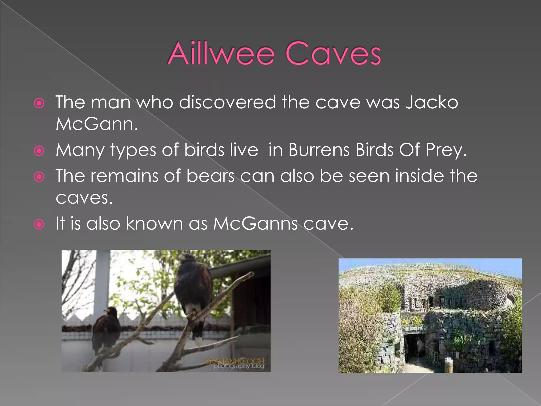    The man who discovered the cave was Jacko
    McGann.
   Many types of birds live in Burrens Birds Of Prey.
   The remains of bears can also be seen inside the
    caves.
   It is also known as McGanns cave.
 