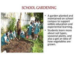 SCHOOL GARDENING
• A garden planted and
maintained on school
campus to support
edible education and
experiential learning.
• Students learn more
about soil types,
seasonal plants, and
also a get an idea of
how vegetables are
grown.
 