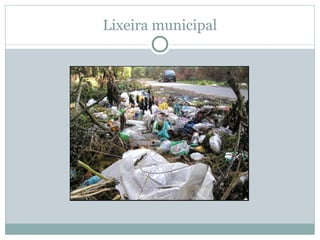 Lixeira municipal 