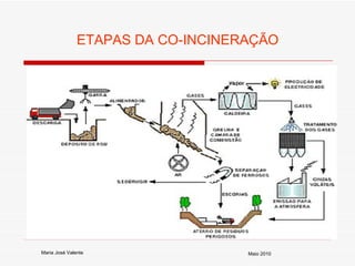 ETAPAS DA CO-INCINERAÇÃO Maio 2010 Maria José Valente 