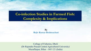 Co-infection Studies in Farmed Fish:
Complexity & Implications
College of Fisheries, Dholi
(Dr Rajendra Prasad Central Agricultural University)
Muzaffarpur, Bihar – 843 121 (India)
By
Rajiv Kumar Brahmachari
 