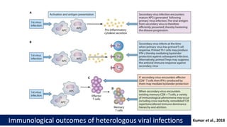 Kumar et al., 2018
Immunological outcomes of heterologous viral infections
 