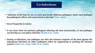 Co-Infections
• “Infection of the host by two or more genetically different pathogens where each pathogen
has pathogenic effects and causes harm to the host” (Cox, 2001).
• Occur frequently in nature
• It can occur from two primary pathogens infecting the host concurrently, or one pathogen
can develop as a secondary infection (Kotob et al., 2016).
• During co-infections, one pathogen can alter the immune response of the host against the
subsequent infections by other pathogens either by suppressing or priming the immune
system (Lello et al., 2004; Telfer et al., 2008).
 