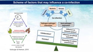 Pathogen-pathogen
interaction
Host-pathogen
interaction
Co-infection
Bacteria Viruses
Scheme of factors that may influence a co-infection
directly between individuals
compete to evade the
immune responses
they elicit
compete for access to the
same host resources
Vorburger & Perlman, 2018
 